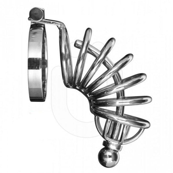 Master Series Asylum 6 Ring Locking Chastity Cage
