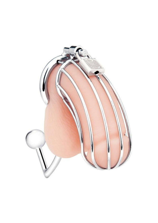 Chasity Cock Cage with Anal Stimulator